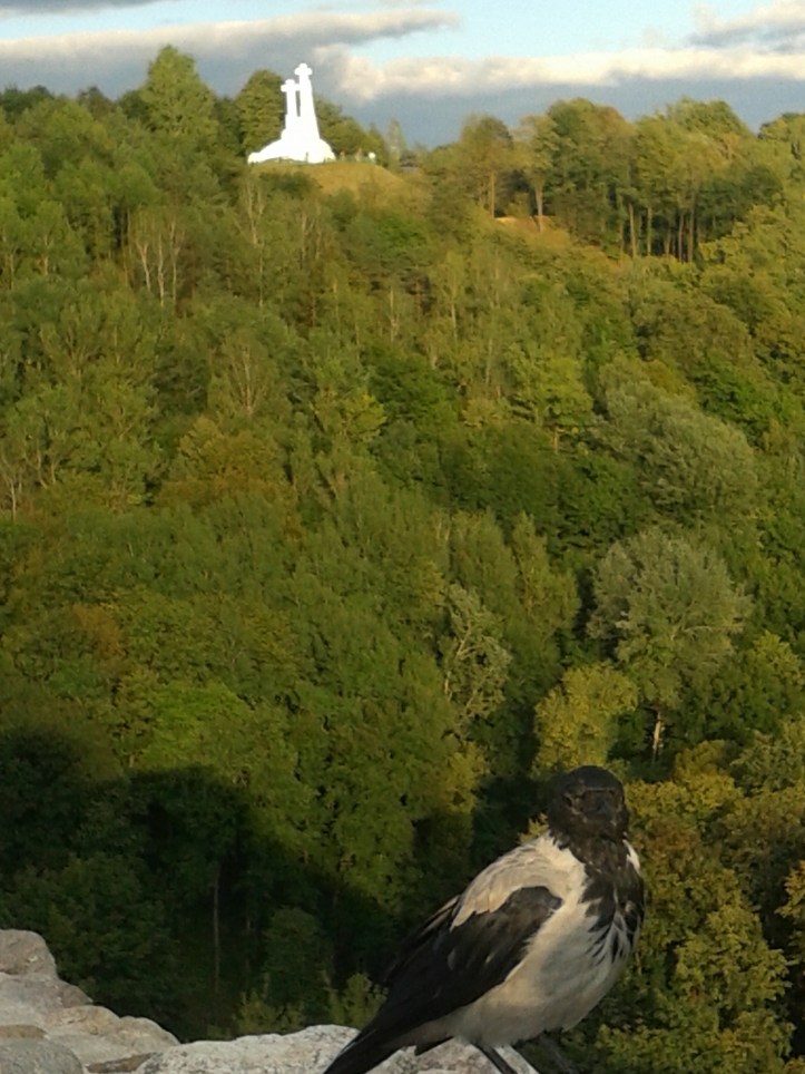 Vista das 3 cruzes a partir do alto do morro Gediminas com um modelo posando para a foto