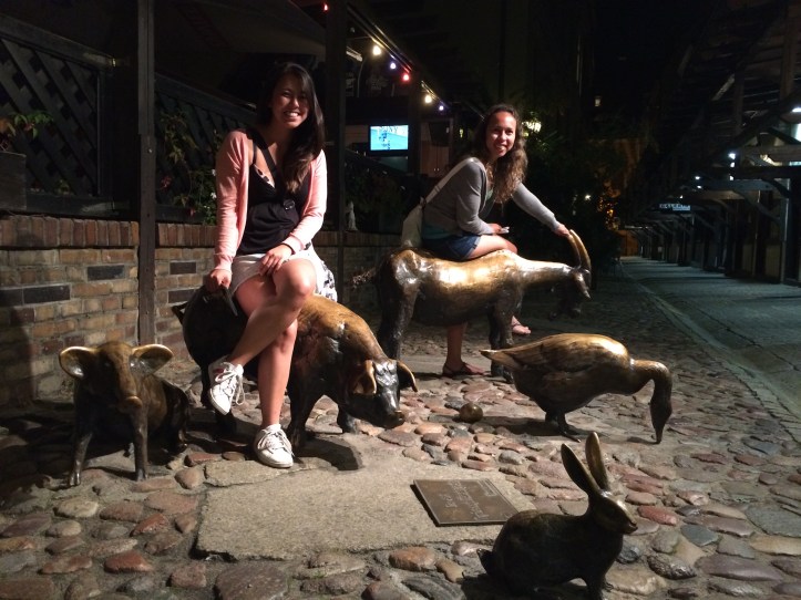 Os animais da rua St. Jatki