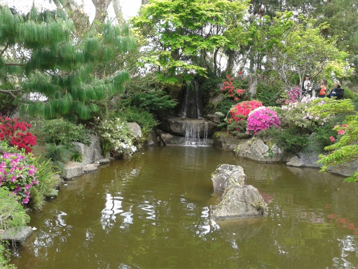 Cascata do Jardim Japonês