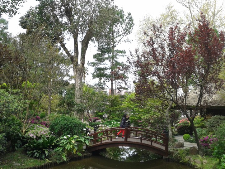 Lindo visual da ponte do Jardim Japonês