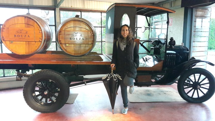 Coleção de veículos antigos da Bodega Bouza