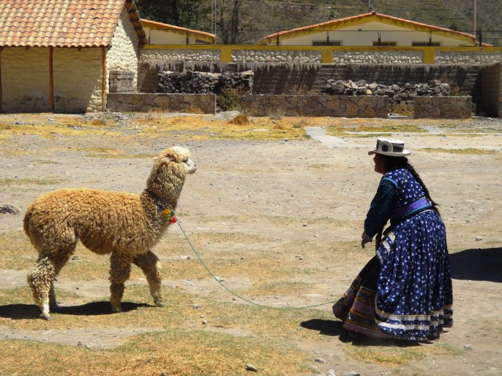 Mulher com llama