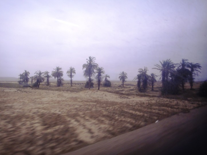 Paisagem do deserto em Paracas