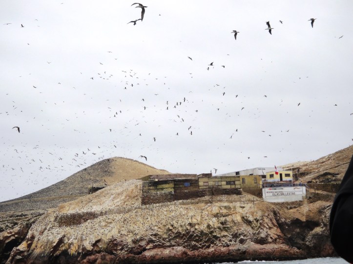 Pássaros sobrevoando uma das ilhas
