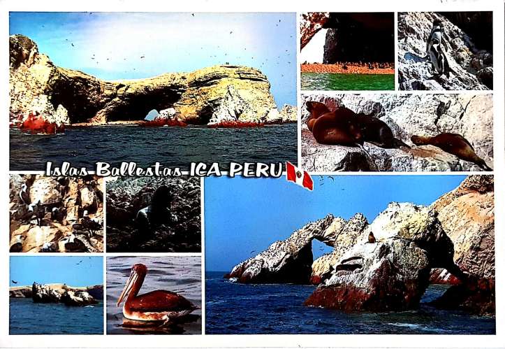 postal-ilhas-ballestas-frente