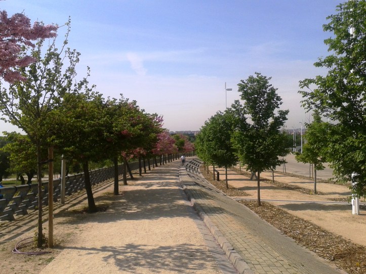 Ciclovia Parque Juan Carlos I