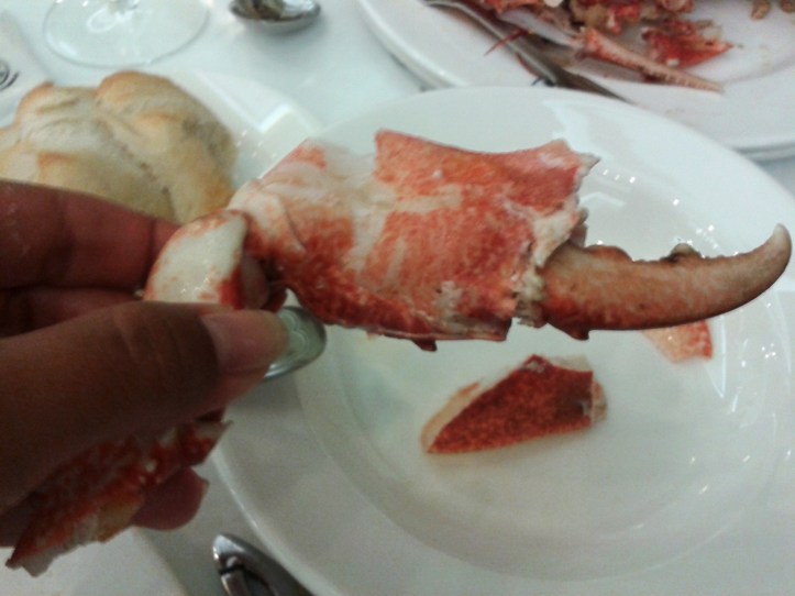 Patinha de caranguejo