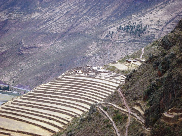 Terrazas para agricultura