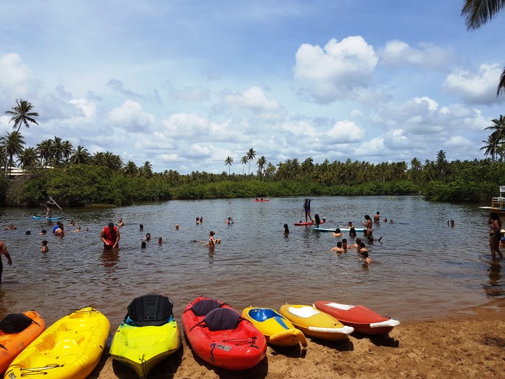 Aluguel de caiaques e sup no rio Barroso