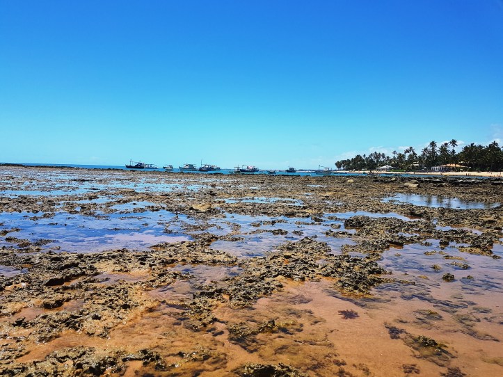 Arrecifes da praia do Portinho