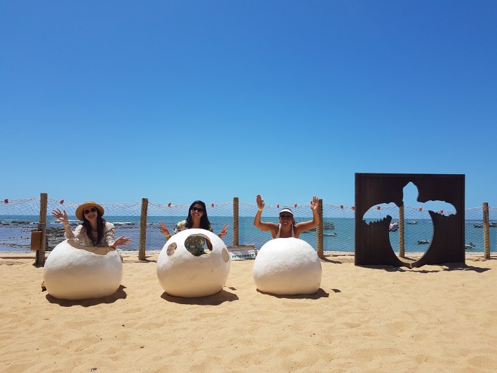 Ovinhos no Projeto Tamar