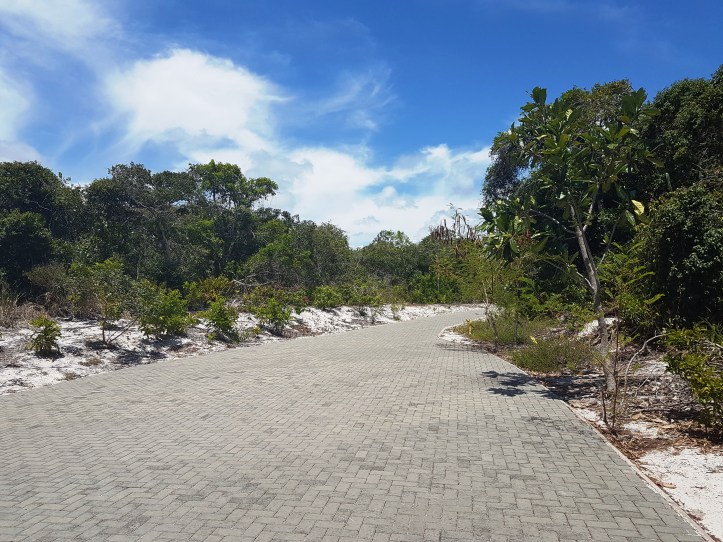 Parque Municipal Klaus Peters - início da trilha