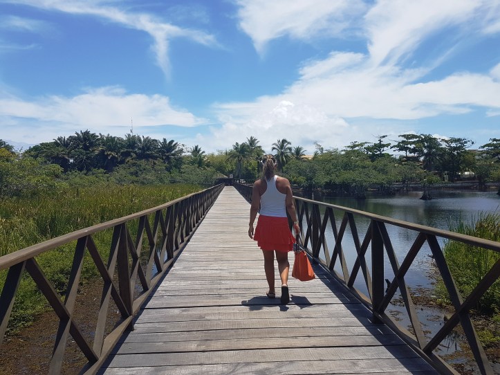 Parque Municipal Klaus Peters - passarela